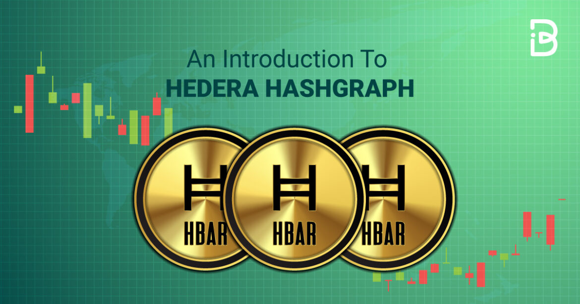 An Introduction To Hedera Hashgraph ImmuneBytes