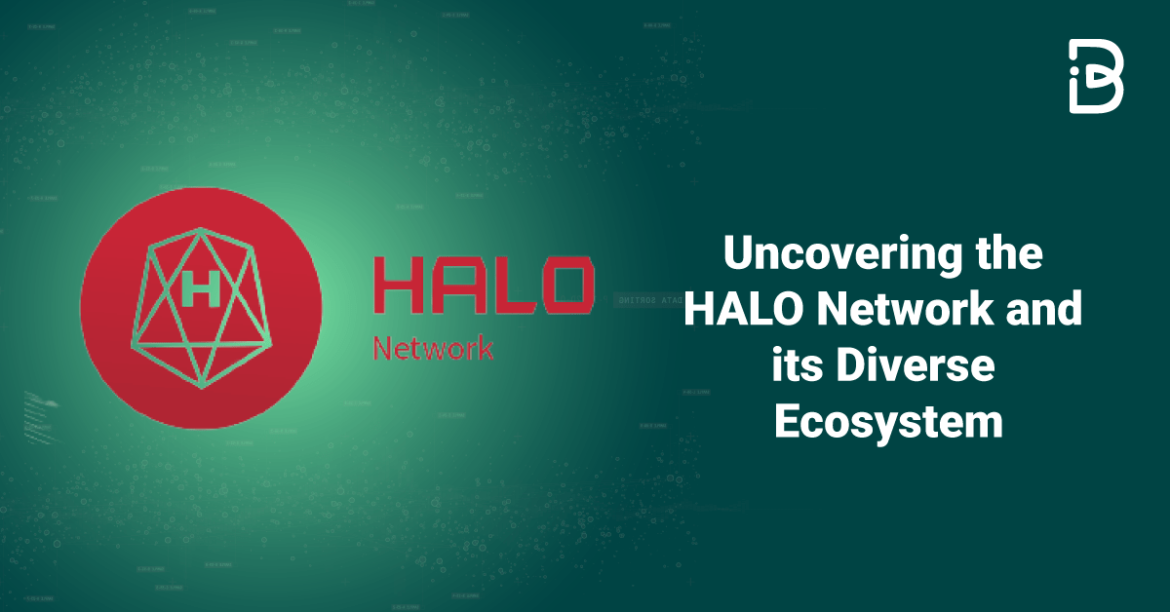 Uncovering-the-HALO-Network-and-its-Diverse-Ecosystem-min Uncovering the HALO Network and its Diverse Ecosystem