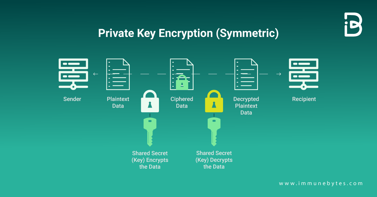 Public and Private Keys: What's the Difference? ImmuneBytes