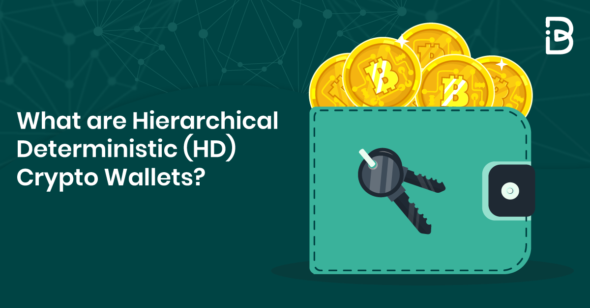 What Are Hierarchical Deterministic (HD) Crypto Wallets? - ImmuneBytes